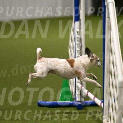 Bob-Hope-Margaret-Poulin-11271