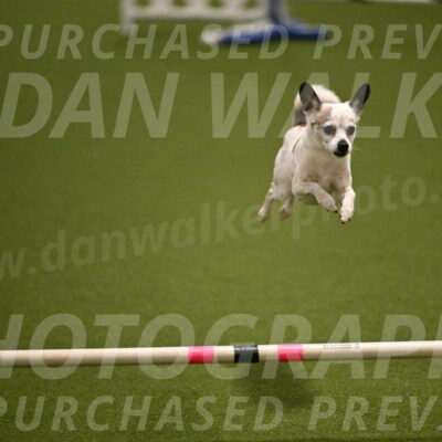 Bob-Hope-Margaret-Poulin-11272