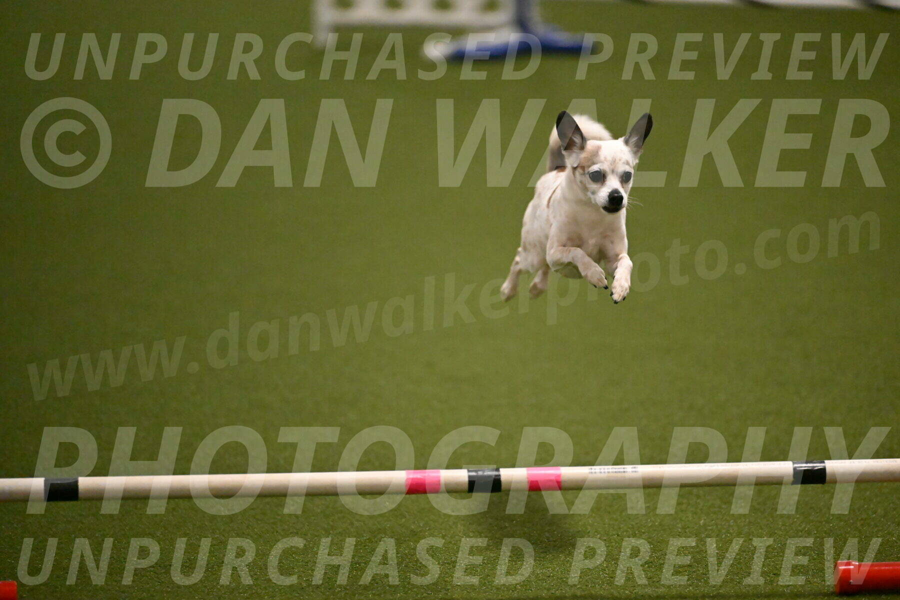 Bob-Hope-Margaret-Poulin-11272