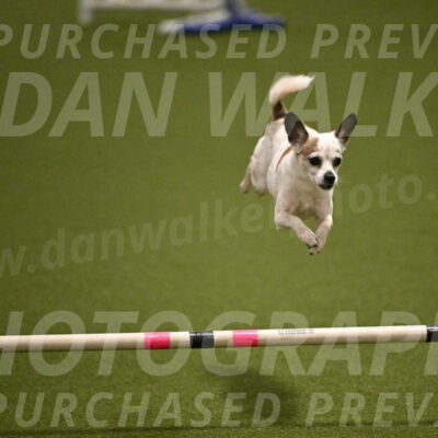 Bob-Hope-Margaret-Poulin-11273