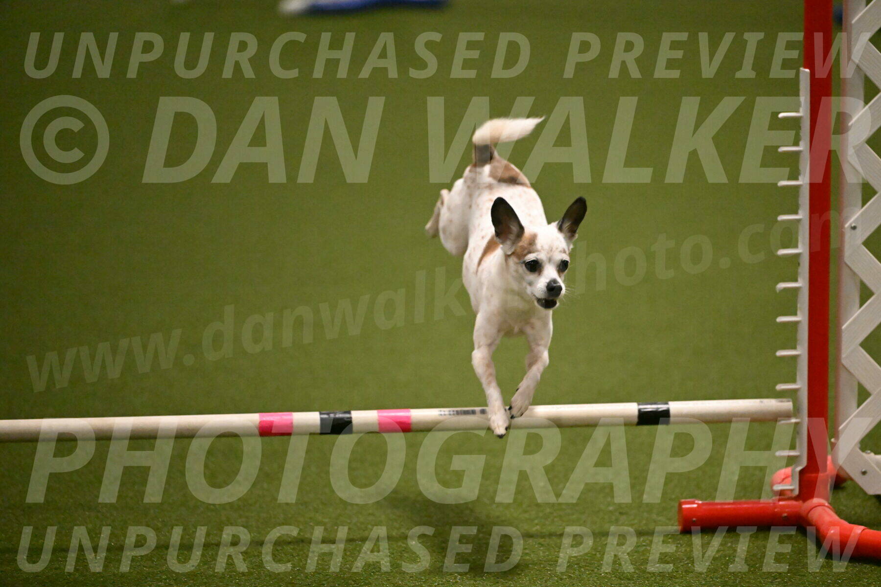 Bob-Hope-Margaret-Poulin-11274