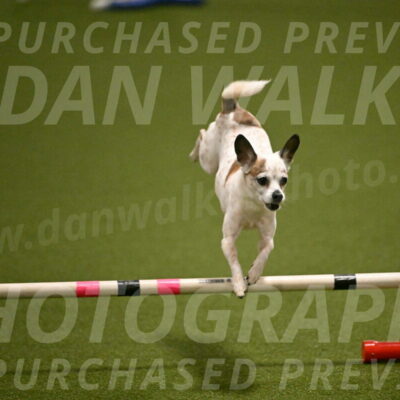 Bob-Hope-Margaret-Poulin-11274