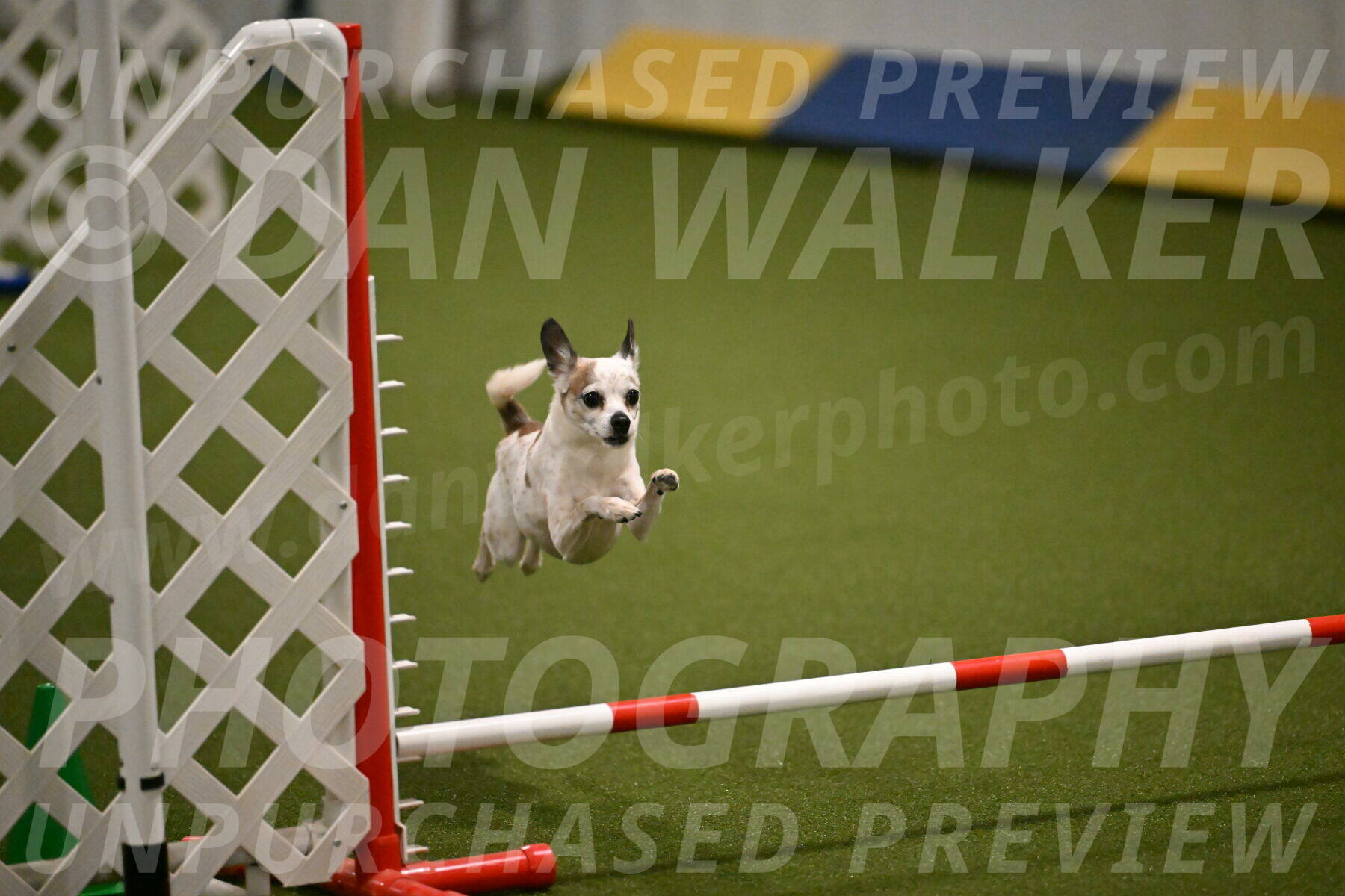 Bob-Hope-Margaret-Poulin-11275