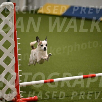 Bob-Hope-Margaret-Poulin-11275