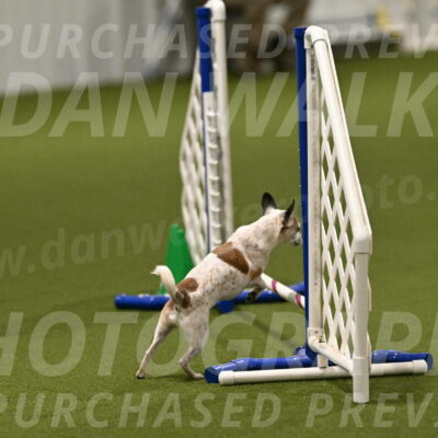 Bob-Hope-Margaret-Poulin-11276