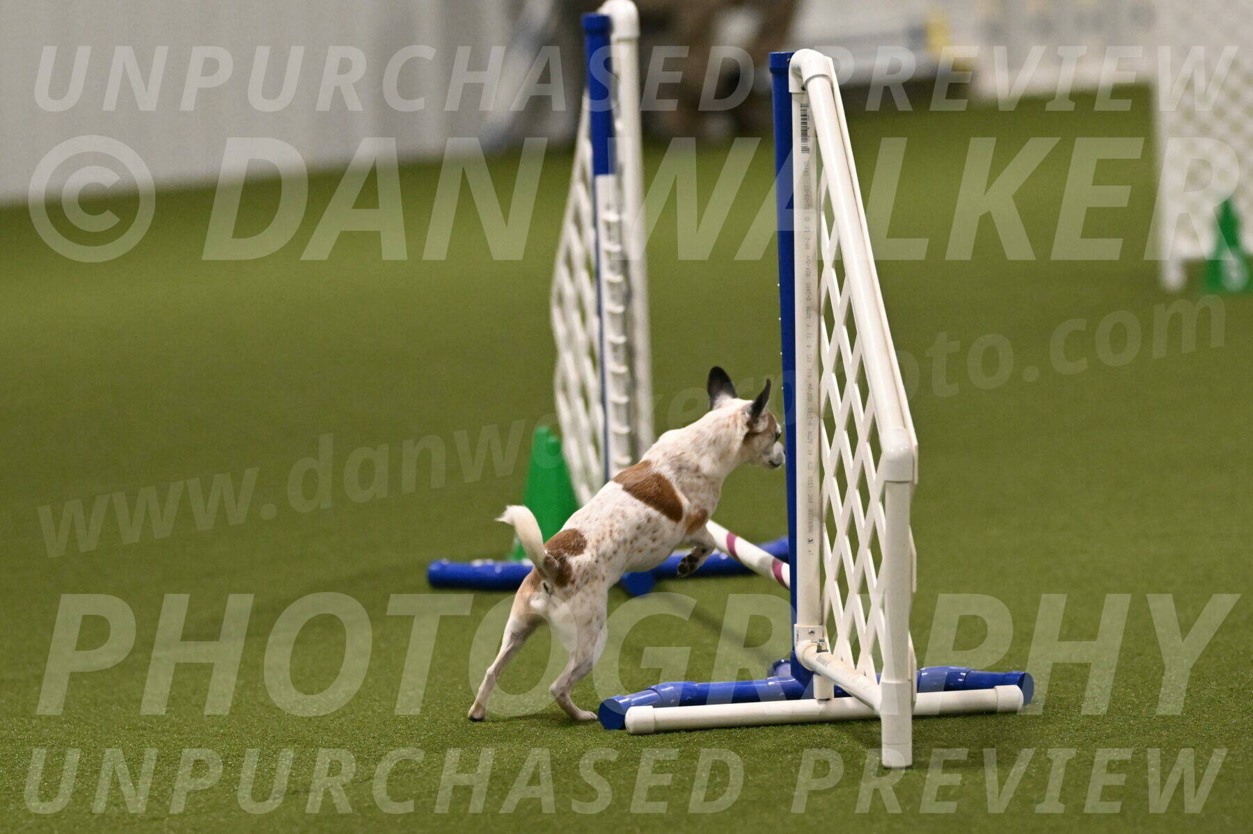 Bob-Hope-Margaret-Poulin-11276