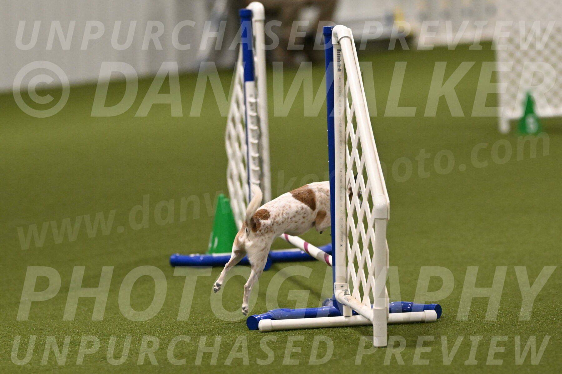 Bob-Hope-Margaret-Poulin-11277