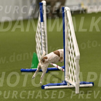 Bob-Hope-Margaret-Poulin-11277