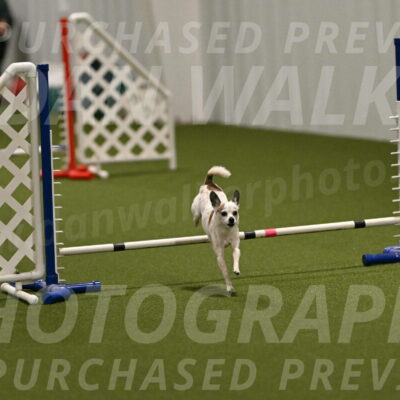 Bob-Hope-Margaret-Poulin-11278