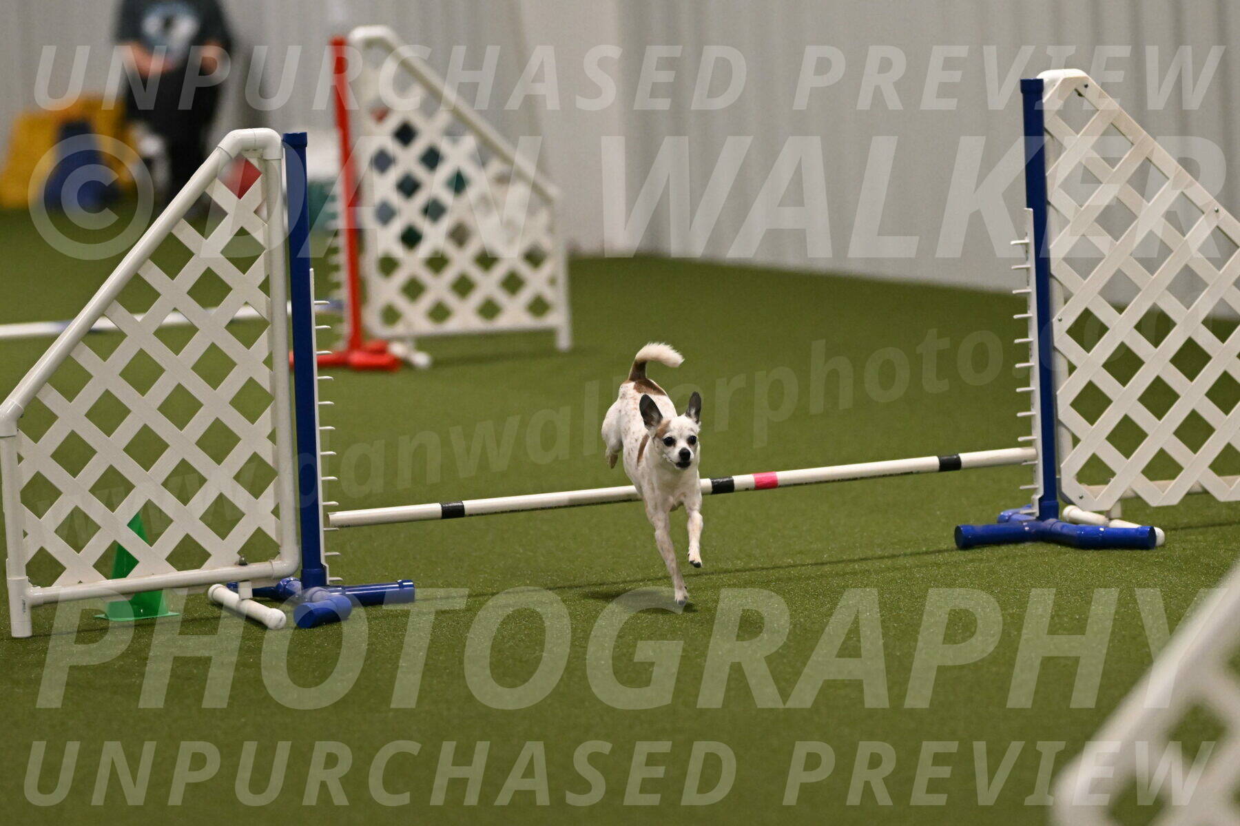 Bob-Hope-Margaret-Poulin-11278