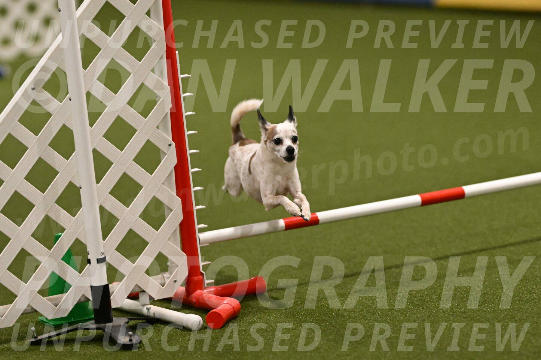 Bob-Hope-Margaret-Poulin-11279