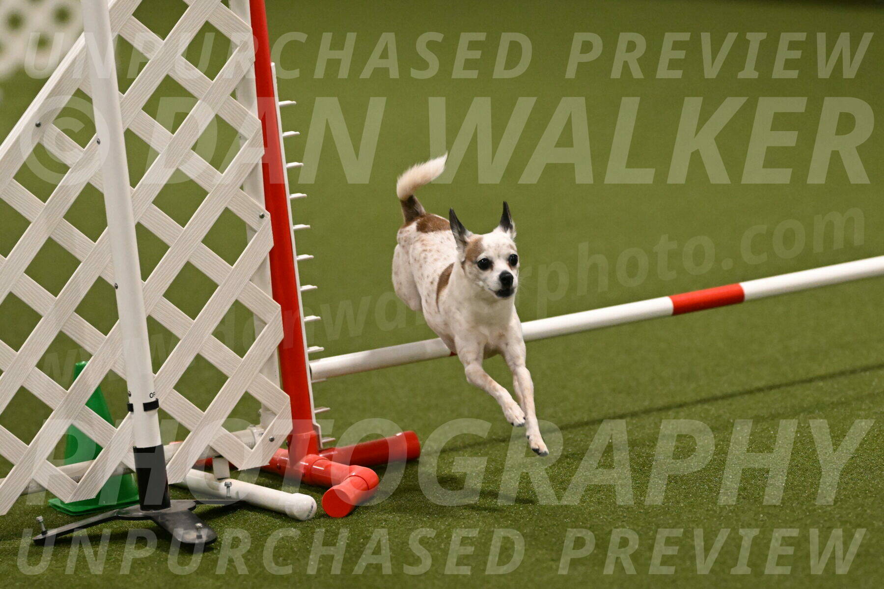 Bob-Hope-Margaret-Poulin-11280