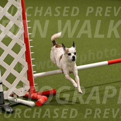 Bob-Hope-Margaret-Poulin-11280