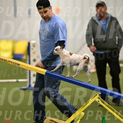 Bob-Hope-Margaret-Poulin-11281