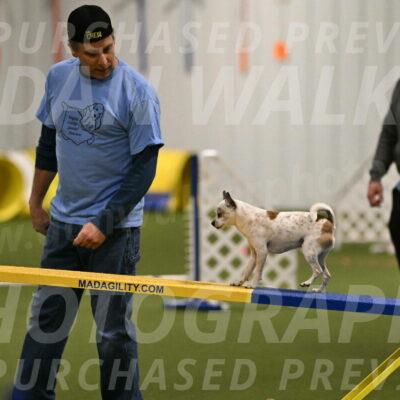 Bob-Hope-Margaret-Poulin-11288