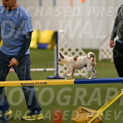 Bob-Hope-Margaret-Poulin-11289