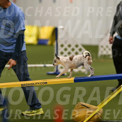 Bob-Hope-Margaret-Poulin-11290