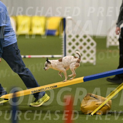 Bob-Hope-Margaret-Poulin-11291