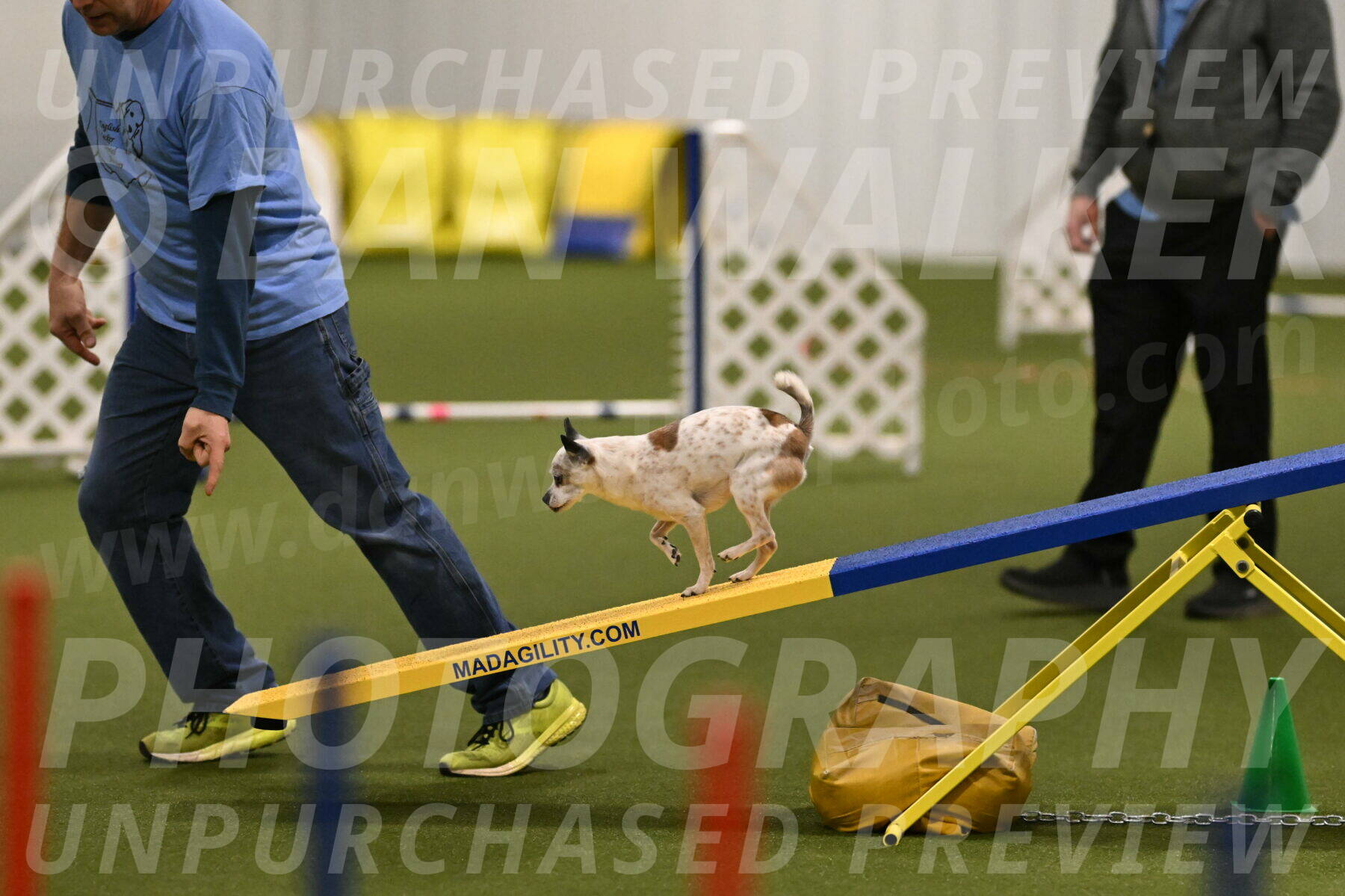 Bob-Hope-Margaret-Poulin-11291