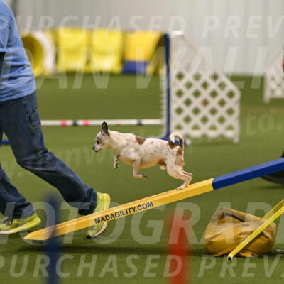 Bob-Hope-Margaret-Poulin-11292