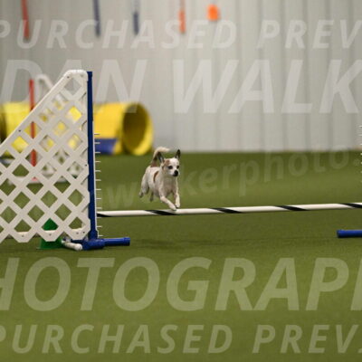 Bob-Hope-Margaret-Poulin-11293