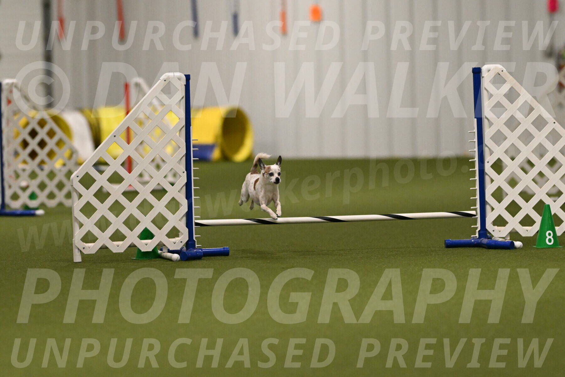 Bob-Hope-Margaret-Poulin-11293