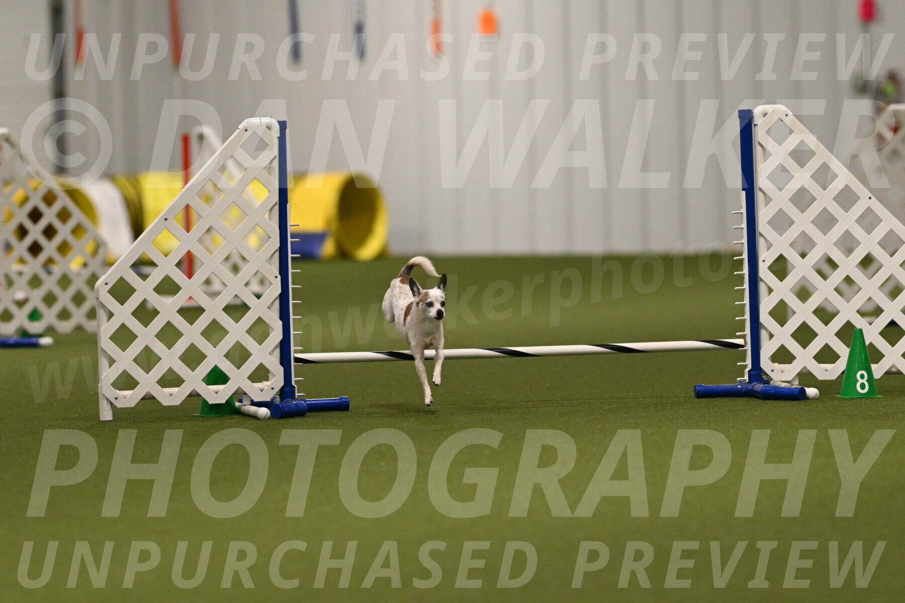 Bob-Hope-Margaret-Poulin-11294