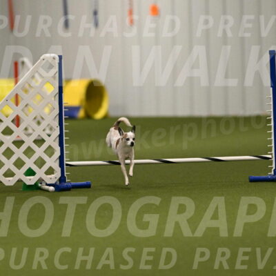 Bob-Hope-Margaret-Poulin-11294