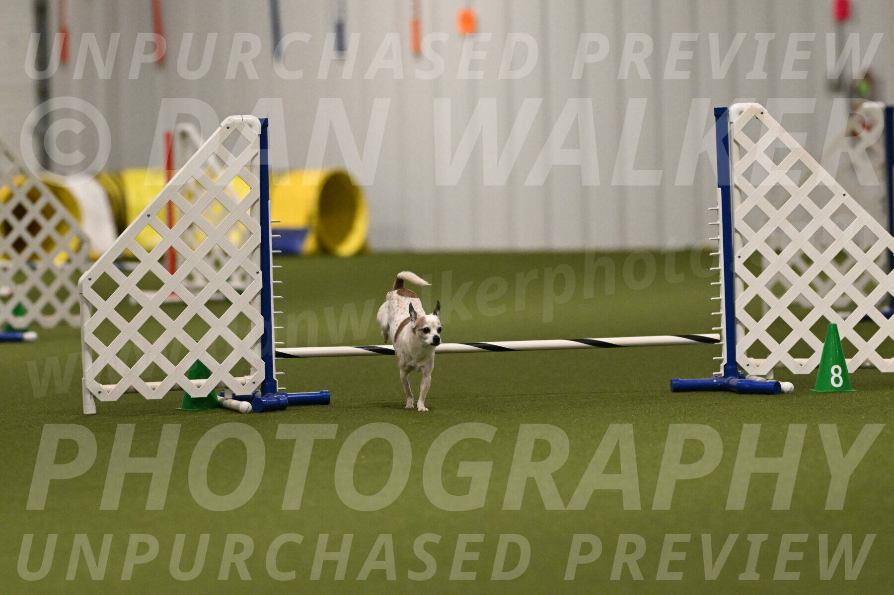 Bob-Hope-Margaret-Poulin-11295