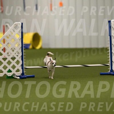 Bob-Hope-Margaret-Poulin-11295