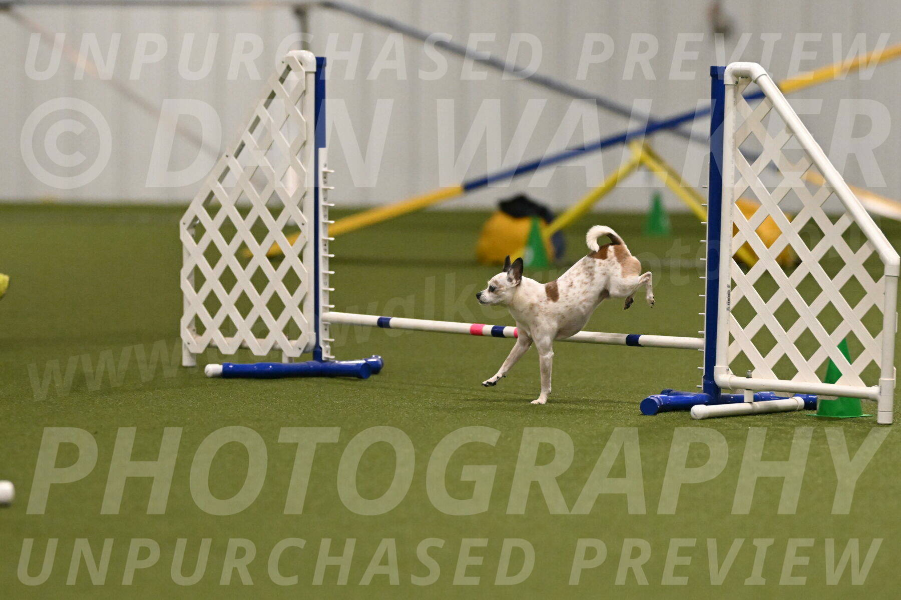 Bob-Hope-Margaret-Poulin-11296