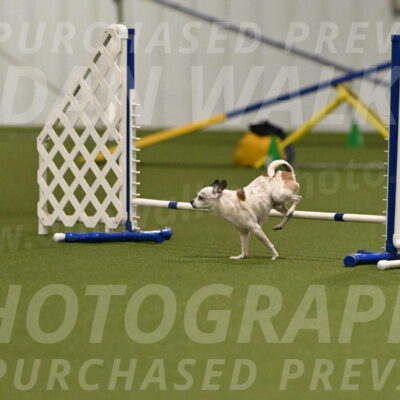 Bob-Hope-Margaret-Poulin-11297