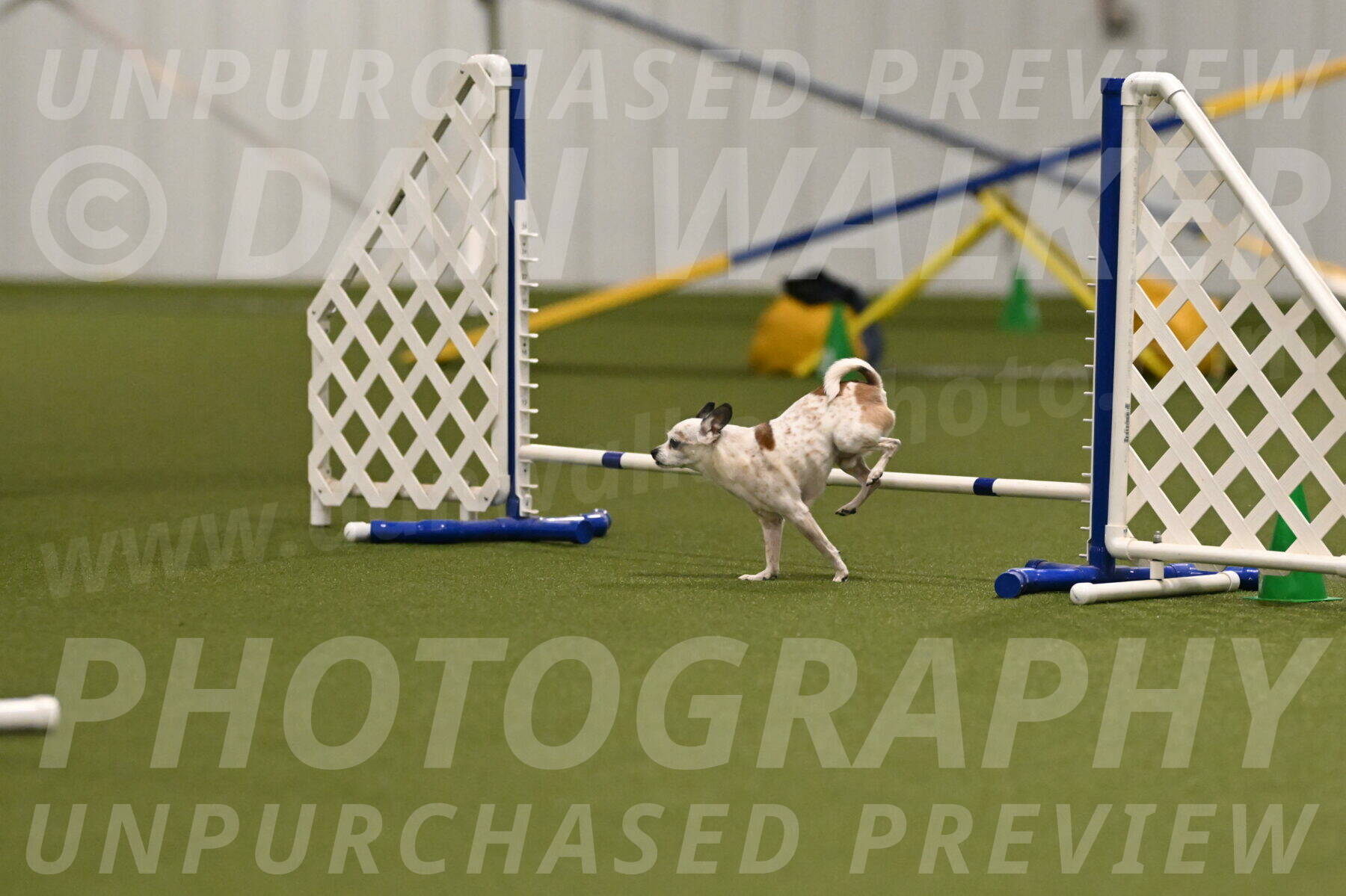 Bob-Hope-Margaret-Poulin-11297