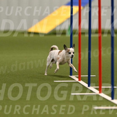 Bob-Hope-Margaret-Poulin-11298