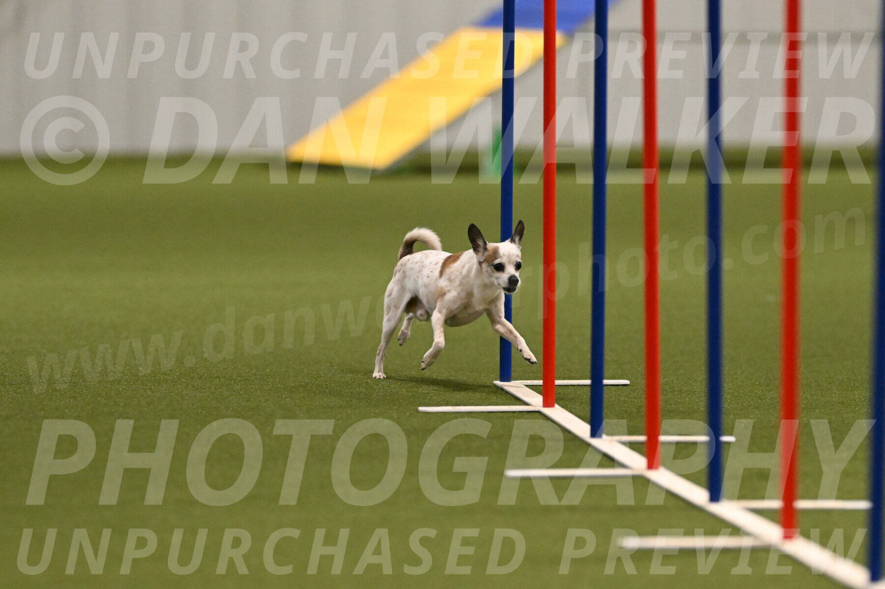 Bob-Hope-Margaret-Poulin-11298