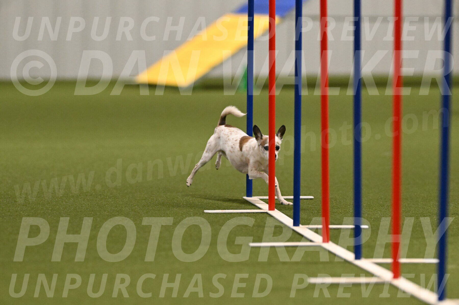 Bob-Hope-Margaret-Poulin-11299