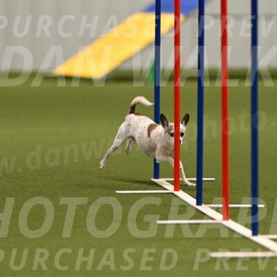 Bob-Hope-Margaret-Poulin-11299