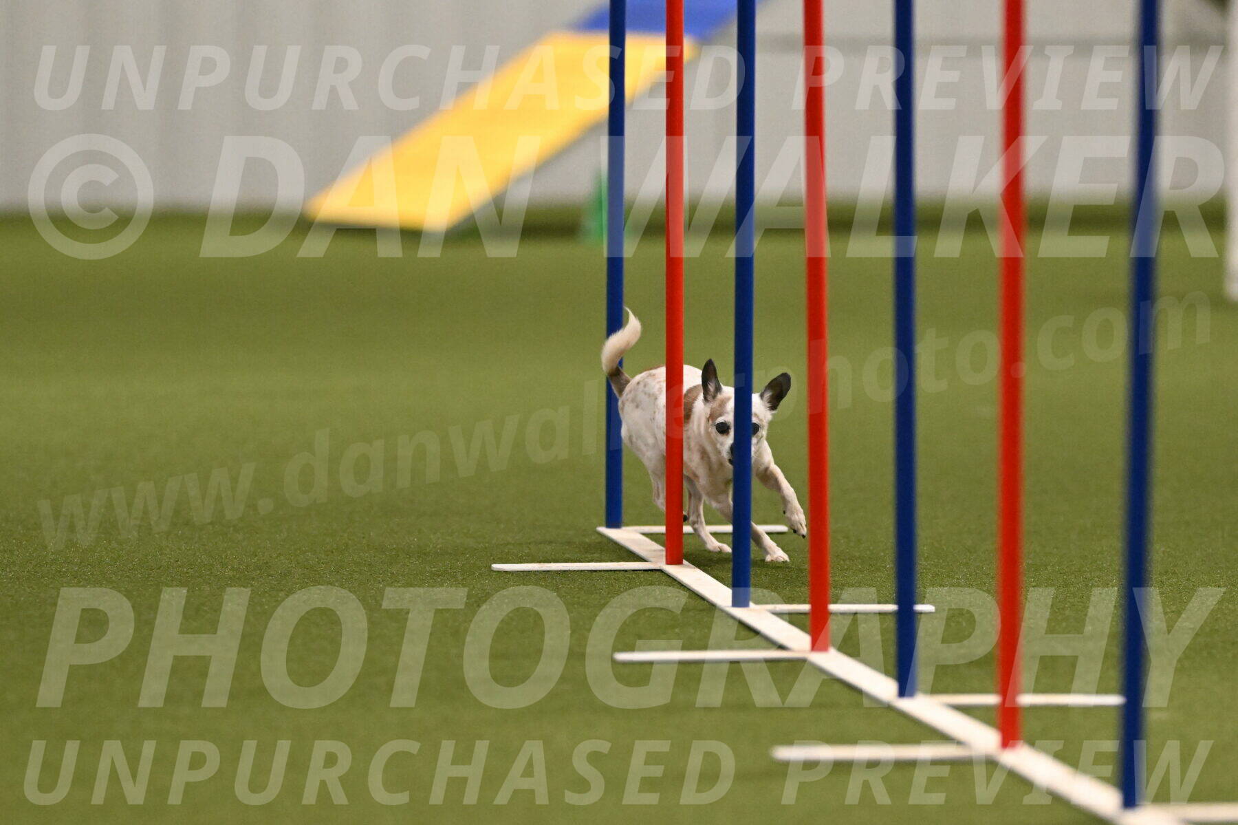 Bob-Hope-Margaret-Poulin-11300