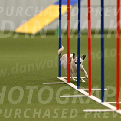 Bob-Hope-Margaret-Poulin-11300