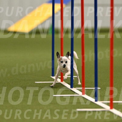 Bob-Hope-Margaret-Poulin-11301