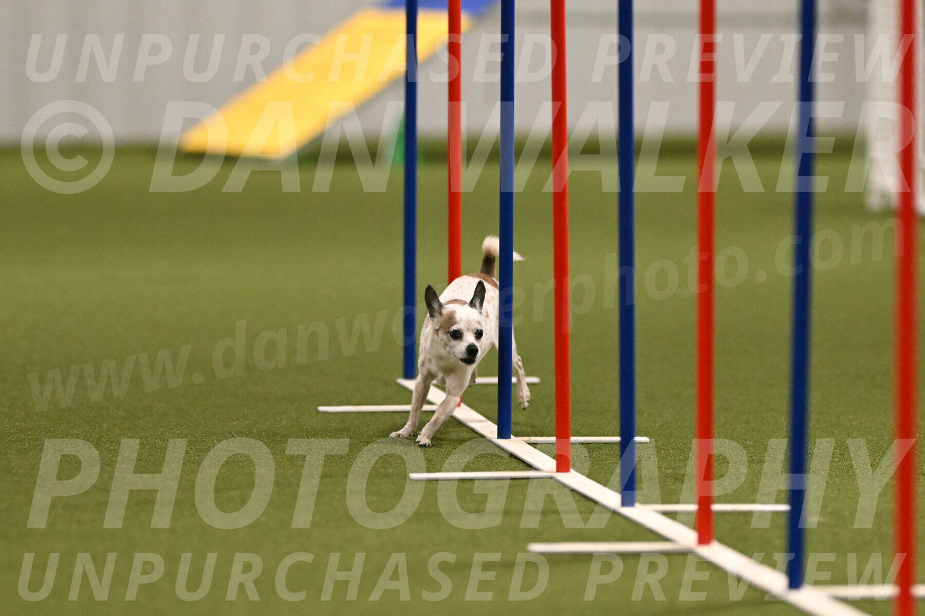 Bob-Hope-Margaret-Poulin-11302