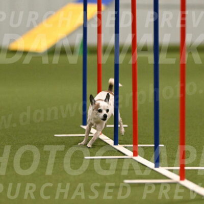 Bob-Hope-Margaret-Poulin-11302