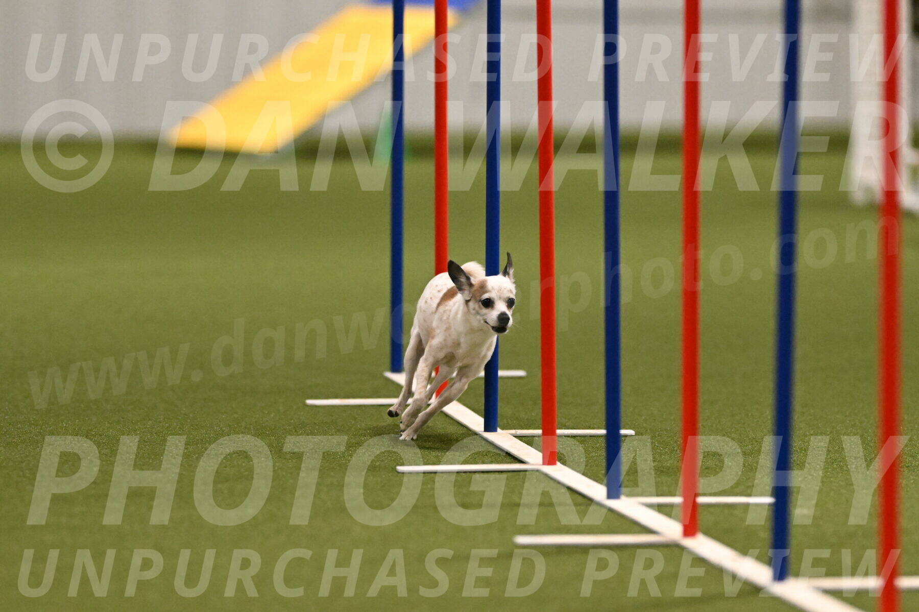 Bob-Hope-Margaret-Poulin-11303