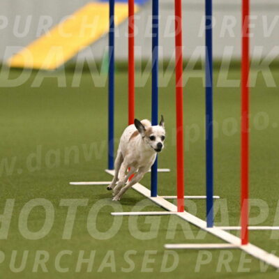 Bob-Hope-Margaret-Poulin-11303