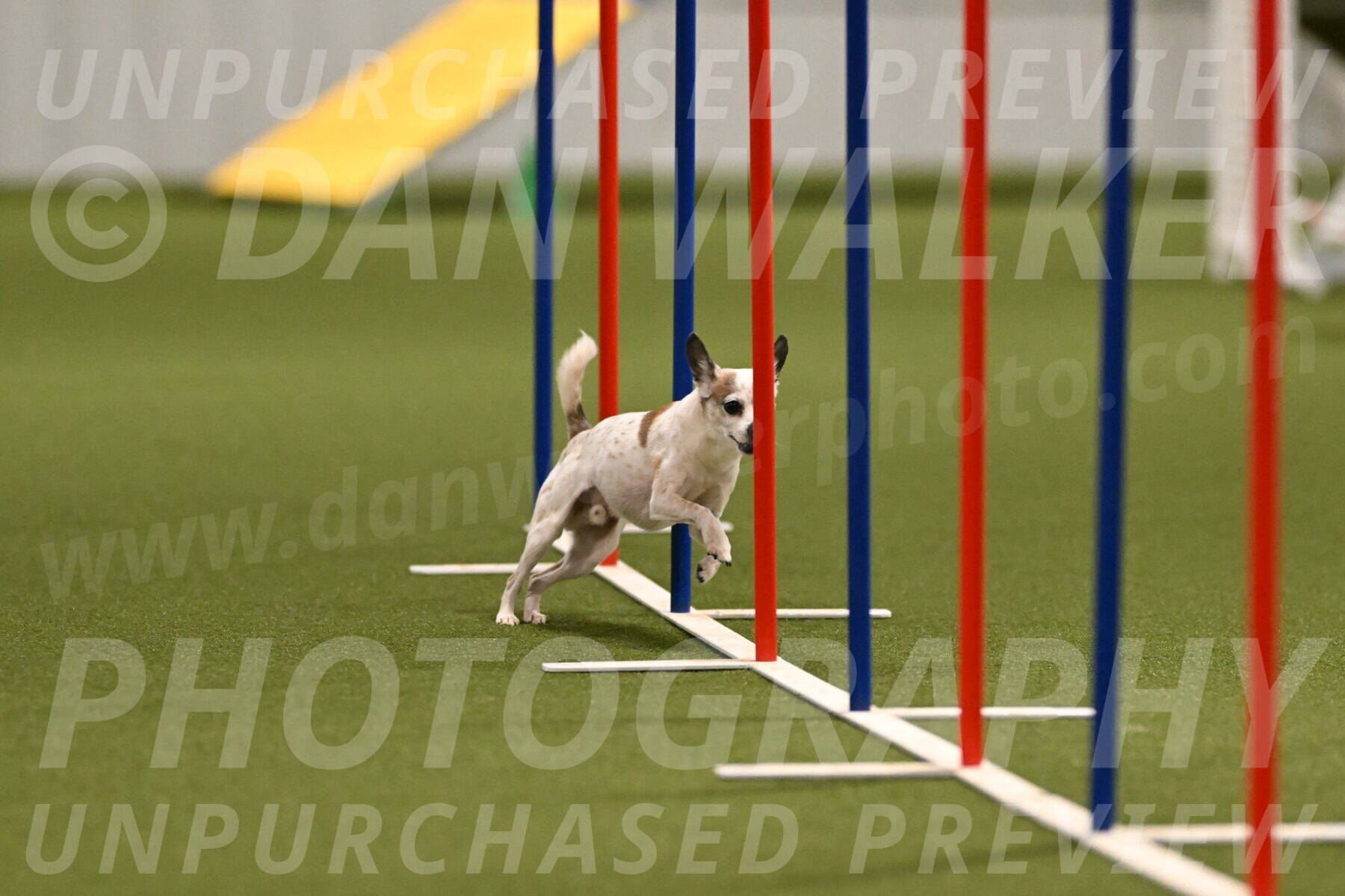 Bob-Hope-Margaret-Poulin-11304