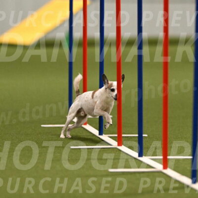 Bob-Hope-Margaret-Poulin-11304