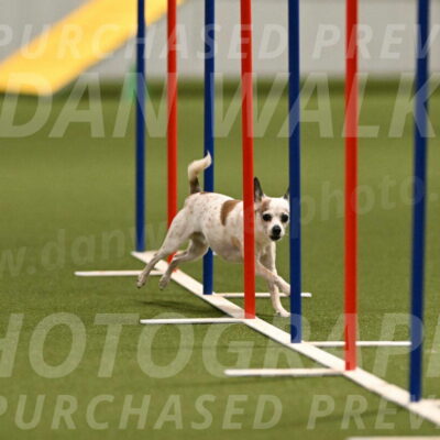 Bob-Hope-Margaret-Poulin-11305