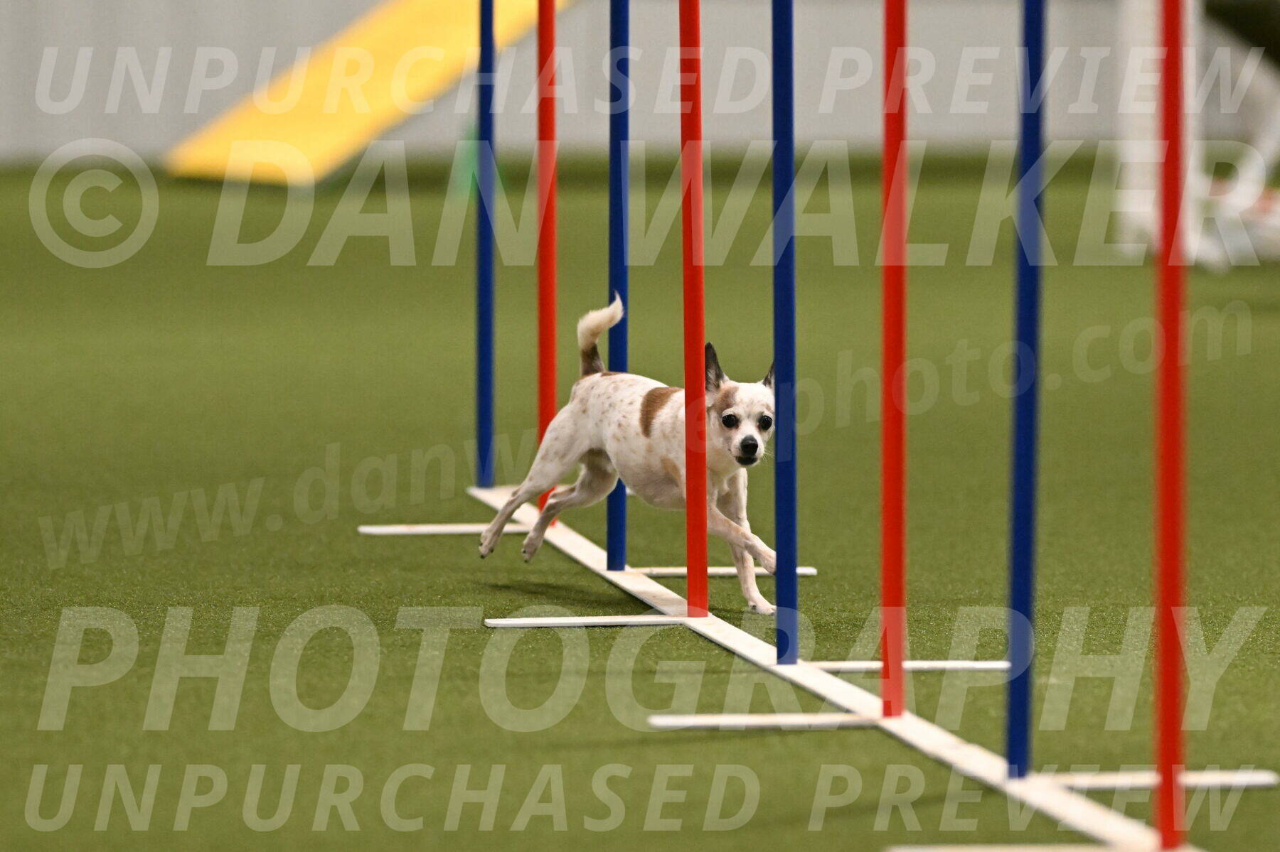 Bob-Hope-Margaret-Poulin-11305