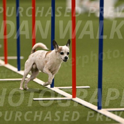 Bob-Hope-Margaret-Poulin-11306