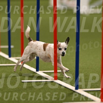 Bob-Hope-Margaret-Poulin-11307